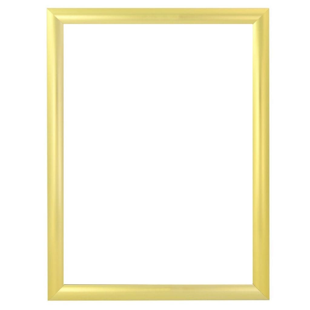 standard-profile-snap-frame-gold-1