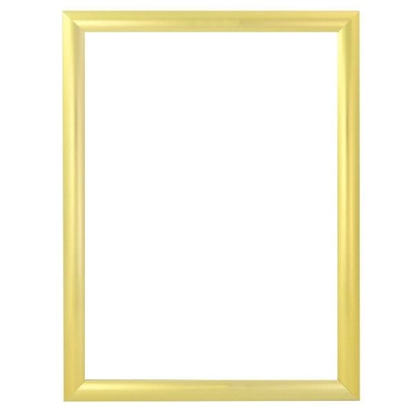 standard-profile-snap-frame-gold-1