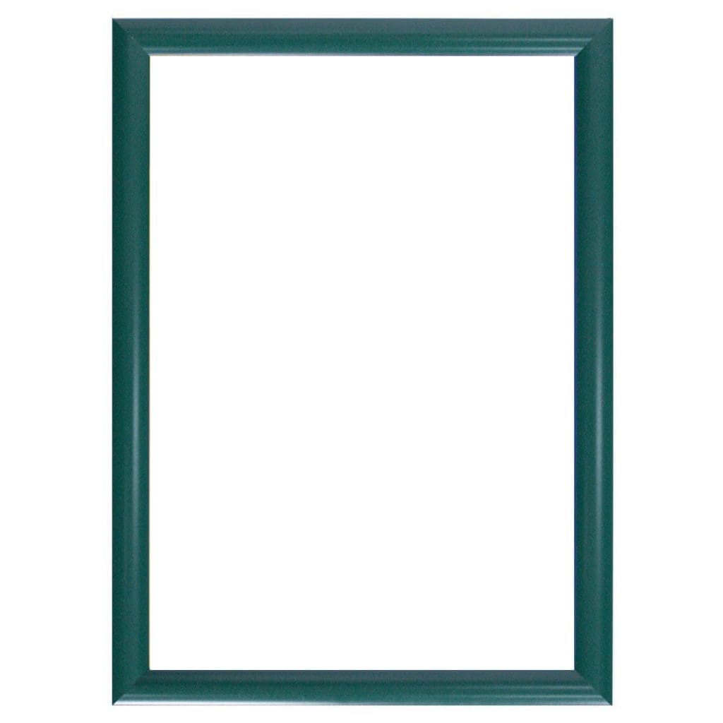 standard-profile-snap-frame-green-1